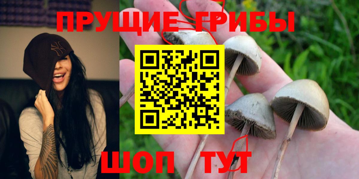 Псилоцибиновые грибы GOLDEN TEACHER  Вход с VPN  Сальск 